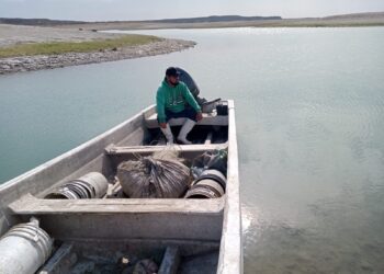 FOTO TOMADA POR JOSUÉ RODRÍGUEZ
