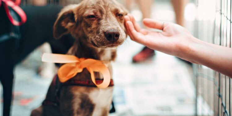 Foto tomada de internet